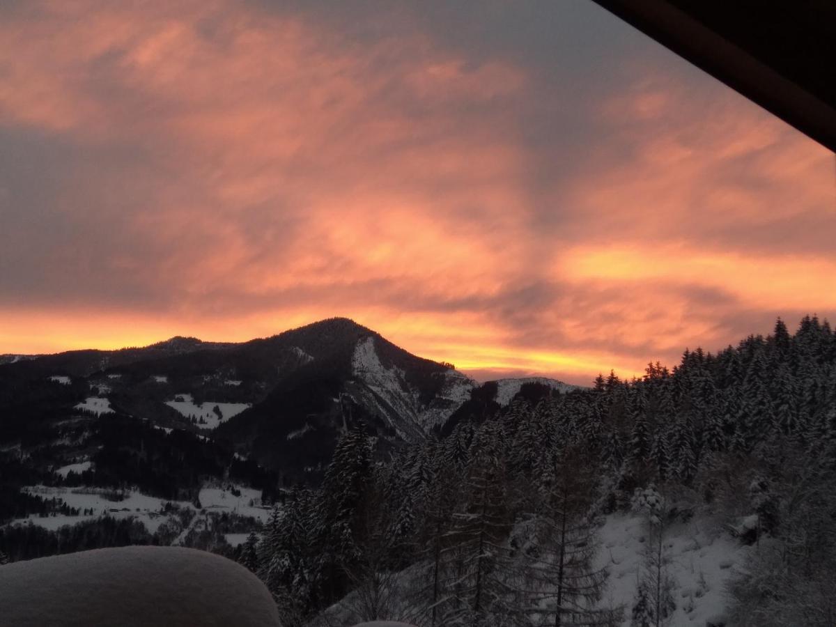 Schmittenblick Lejlighed *
