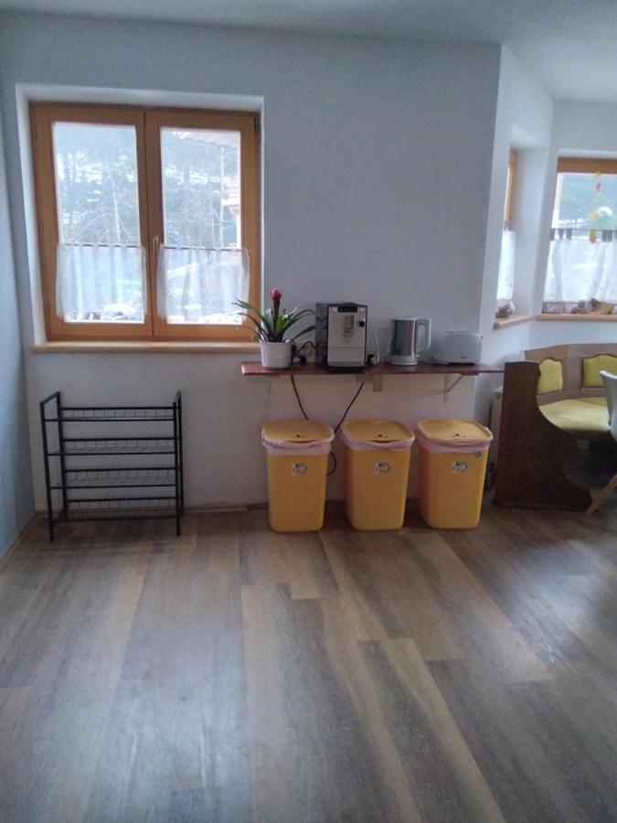 Appartement Schmittenblick Apartment