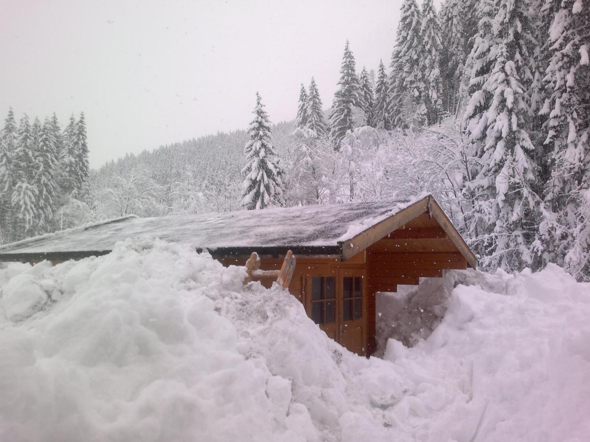Appartement Schmittenblick